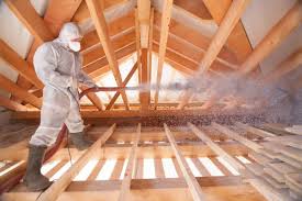 Best Crawl Space Insulation  in Viera East, FL